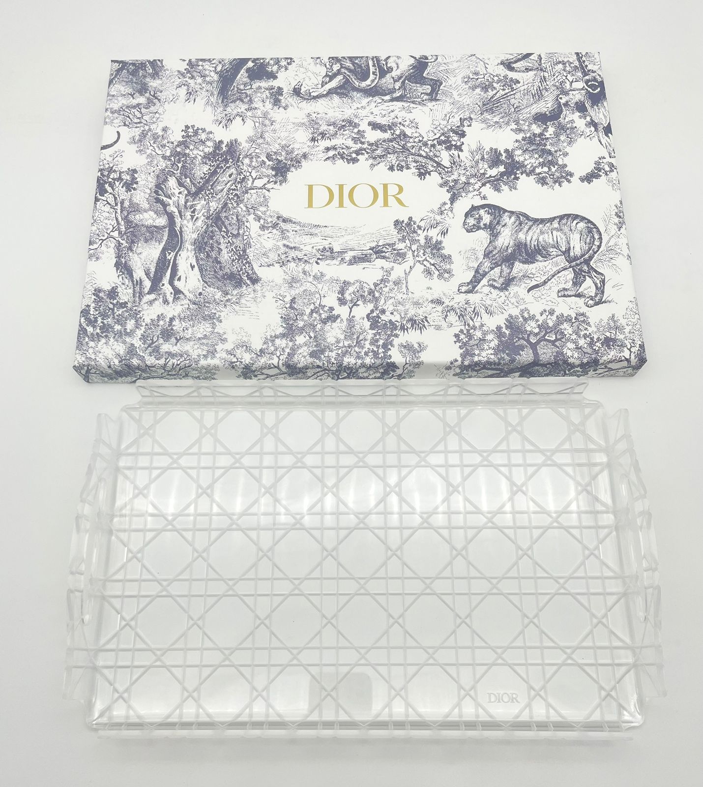 Dior small size Tray