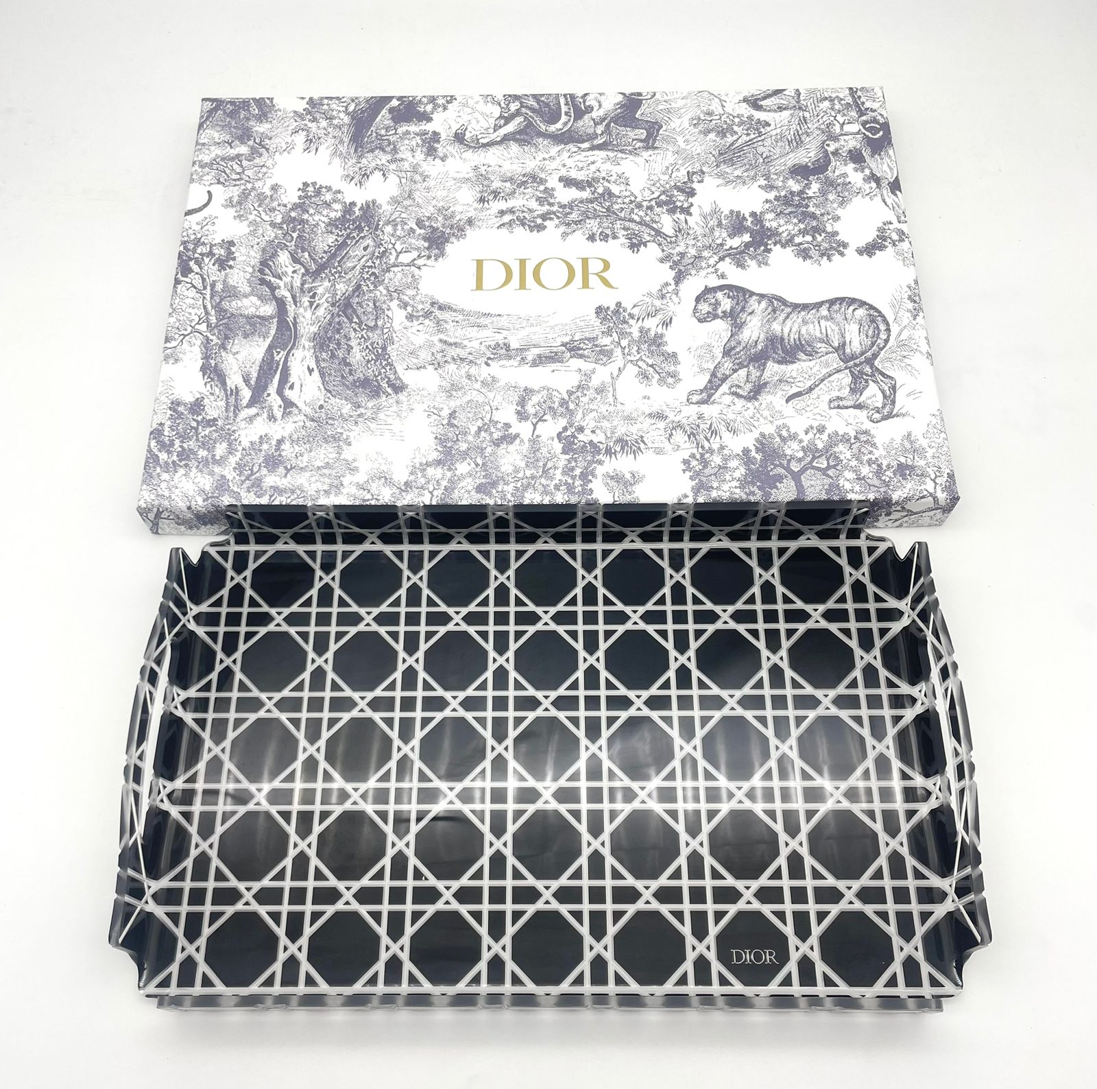 Dior small size Tray