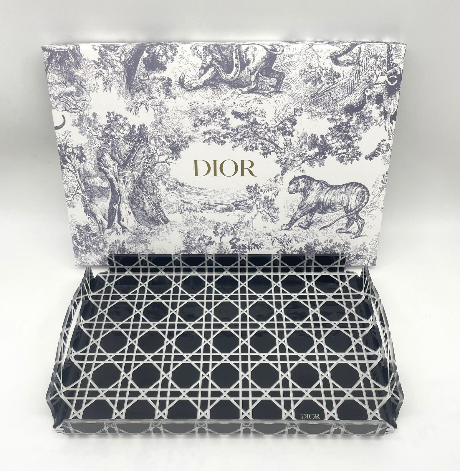 Dior small size Tray