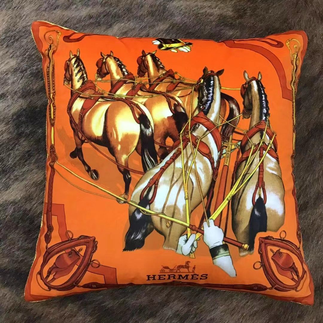 Velvet cushion from Hermes 