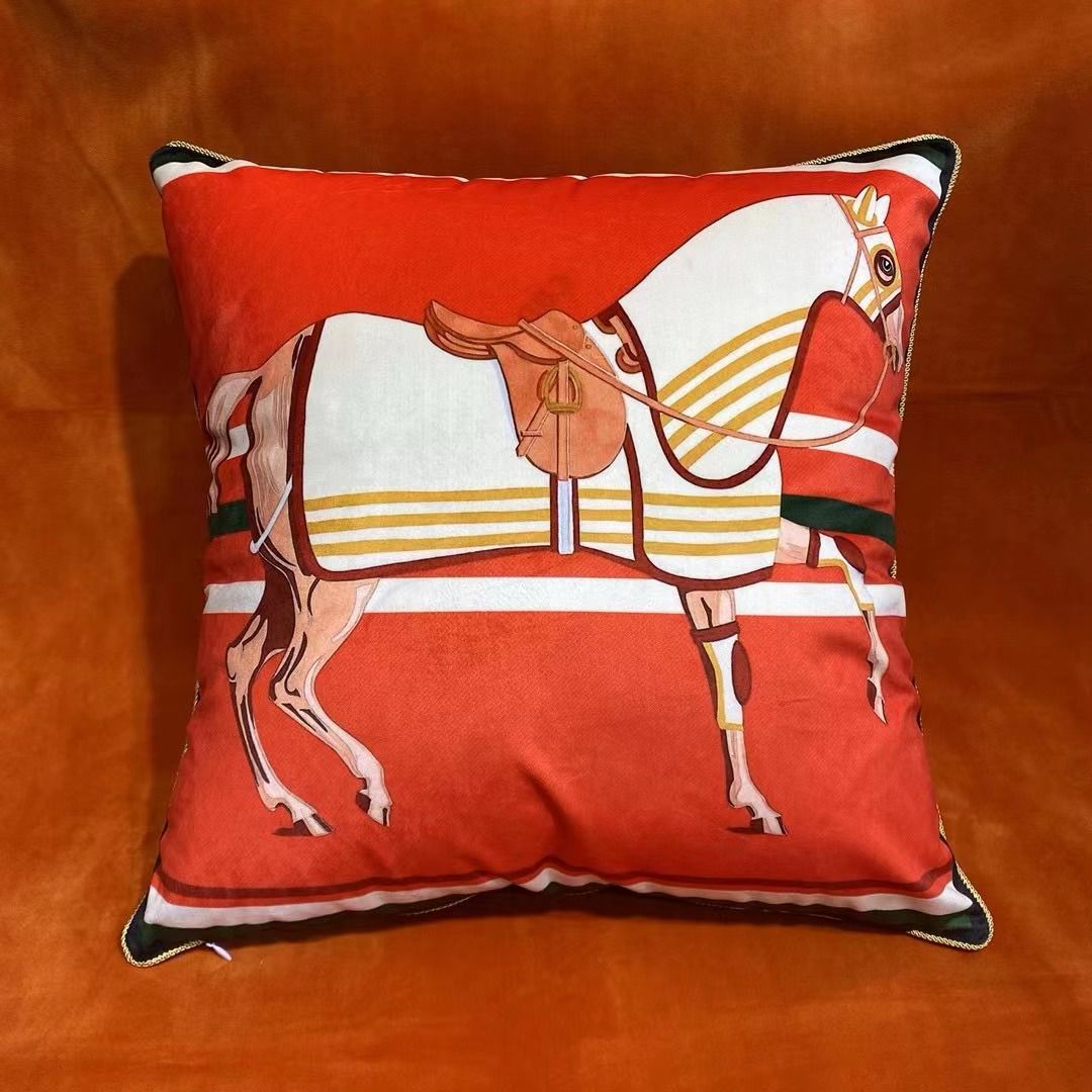 Velvet cushion from Hermes 